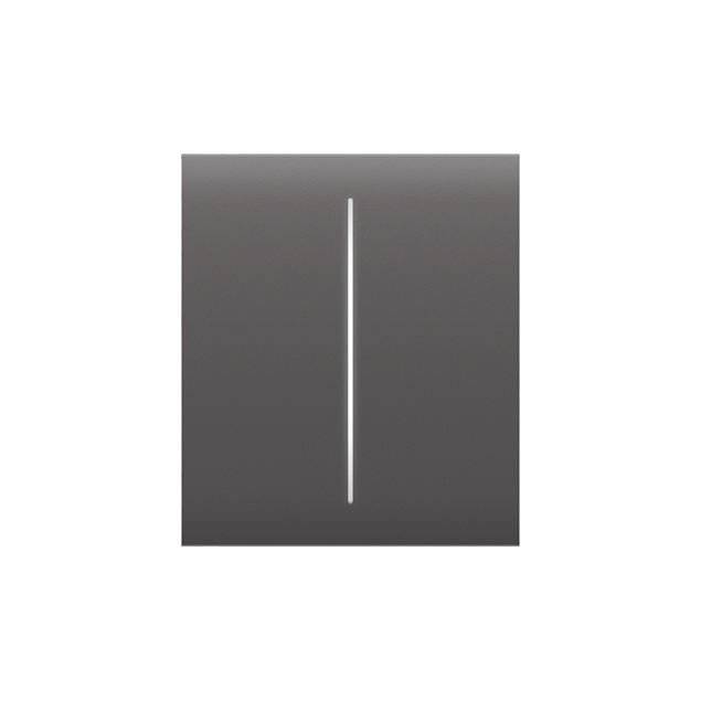 Ajax LightSwitch CenterButton double graphite