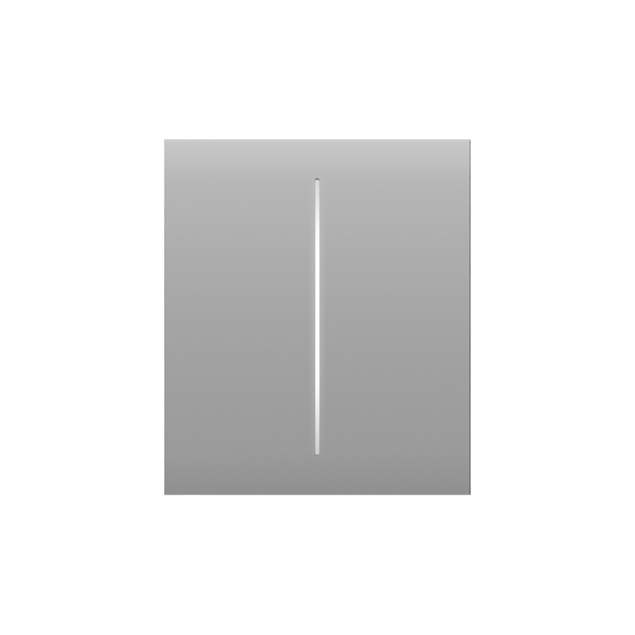 Ajax LightSwitch CenterButton double gris brume