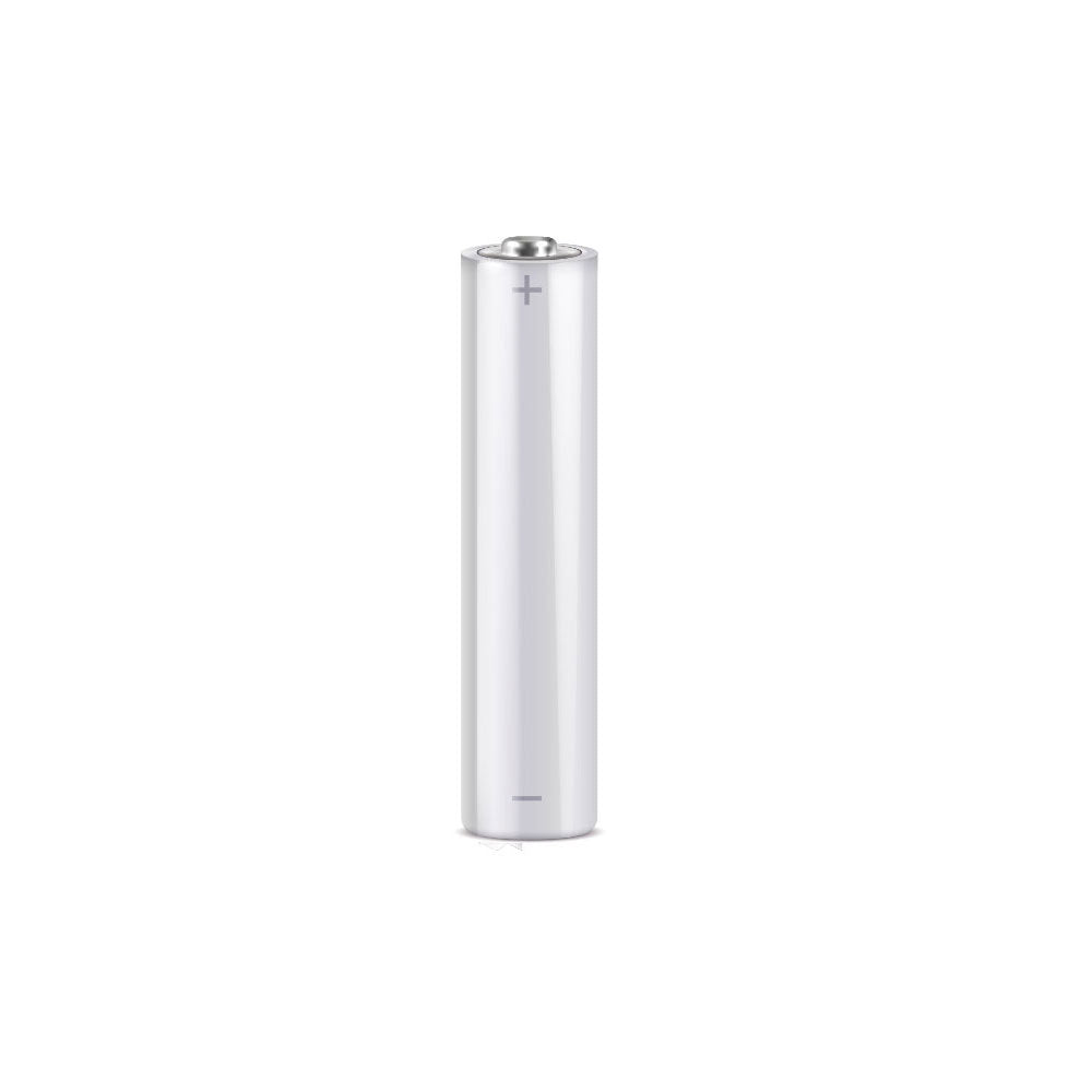 Pile alcaline professionnelle AAA 1,5 V