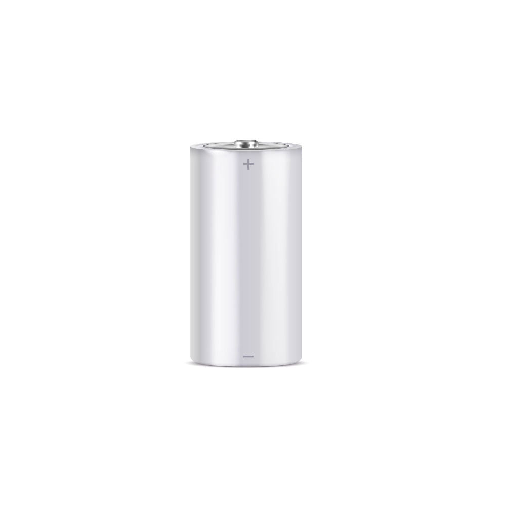 Pile alcaline professionnelle C 1,5 V LR14
