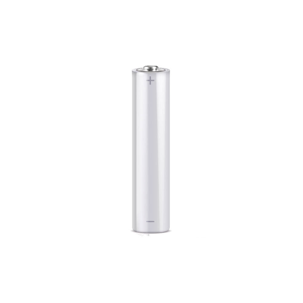 Pile au lithium 1,5 V AAA pour de hautes performances